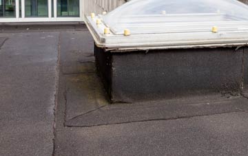 disadvantages of Hendre Ddu flat roofs